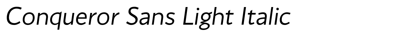 Conqueror Sans Light Italic image
